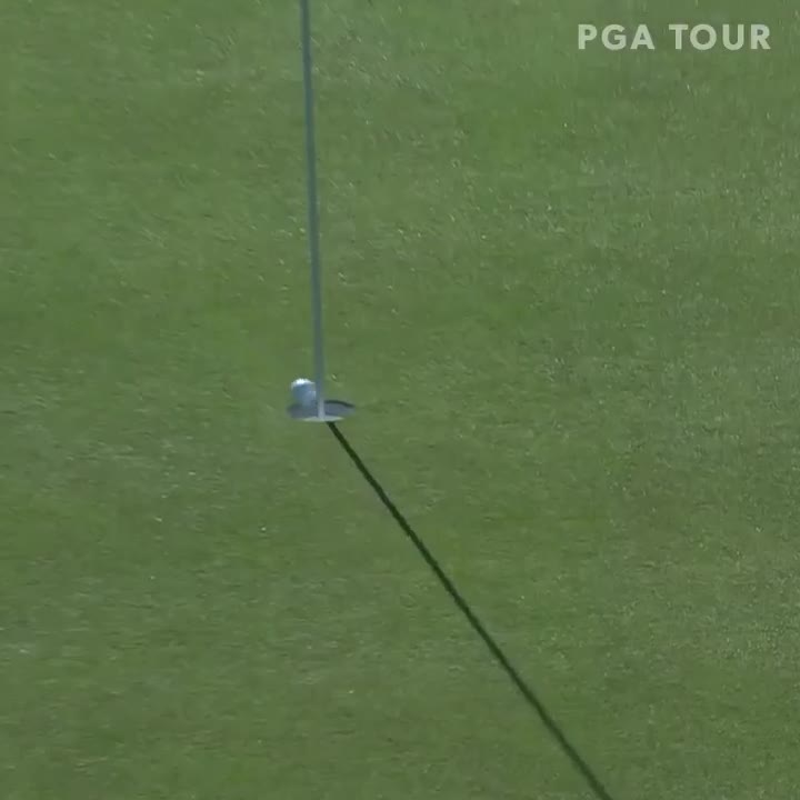  The ball pitched on the front of the green and raced into the hole