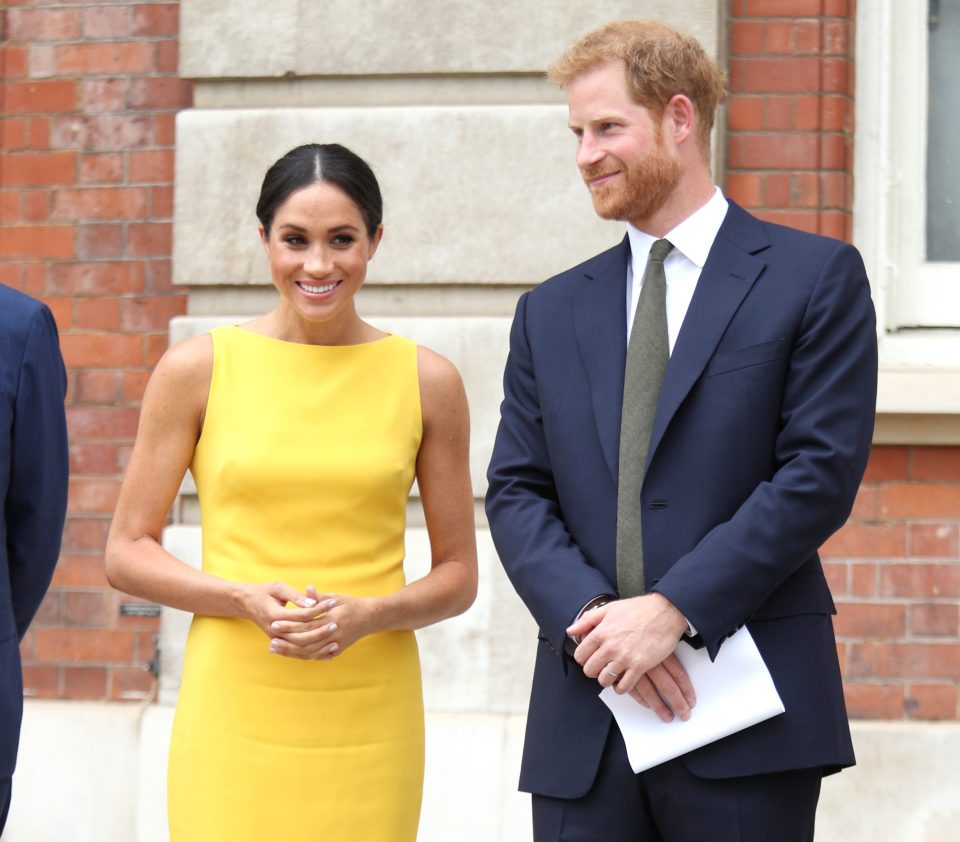  Meghan Markle and Prince Harry are no longer considered working royals