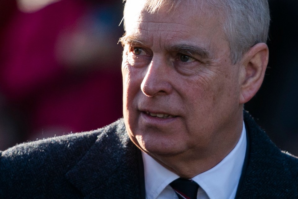  Prince Andrew has not helped the FBI despite last year saying he would assist with their investigations into Epstein