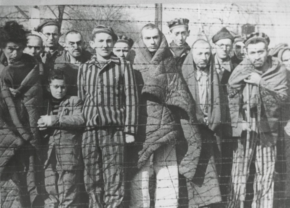 Most of the victims had been living ordinary lives before the war only to find themselves in Auschwitz