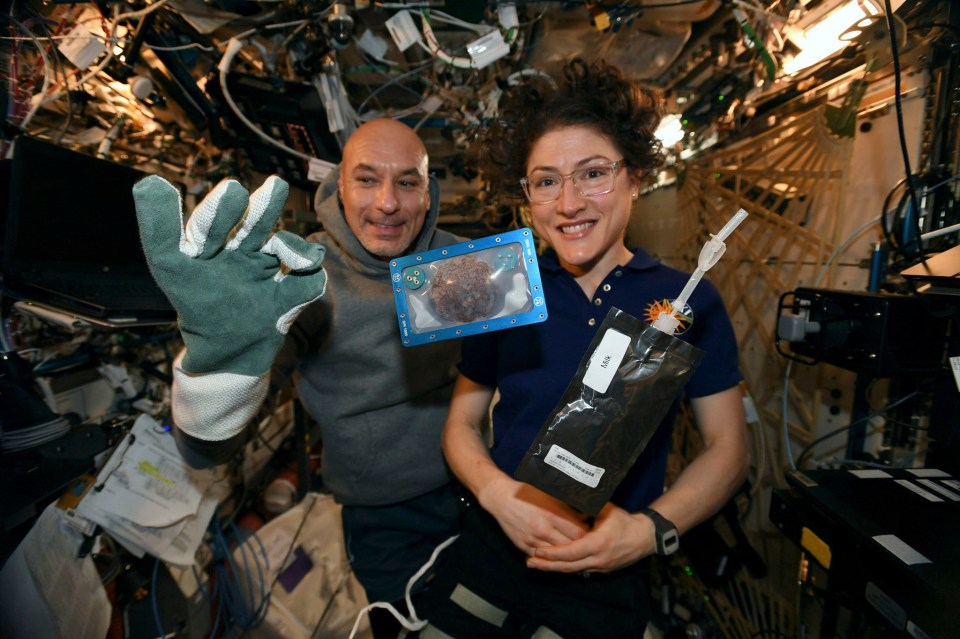 Commander Luca Parmitano and astronaut Christina Koch with their creation