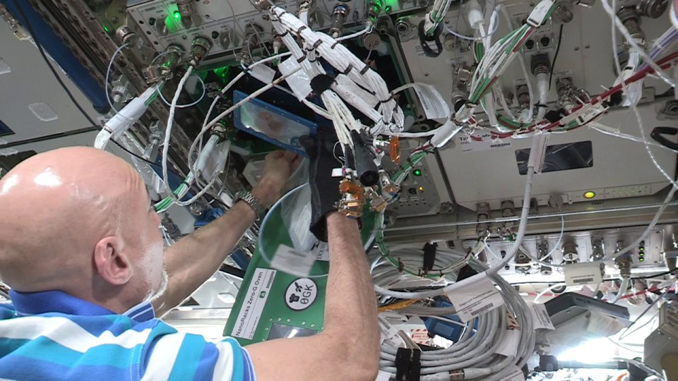 The experiment could help astronauts branch out with their diets