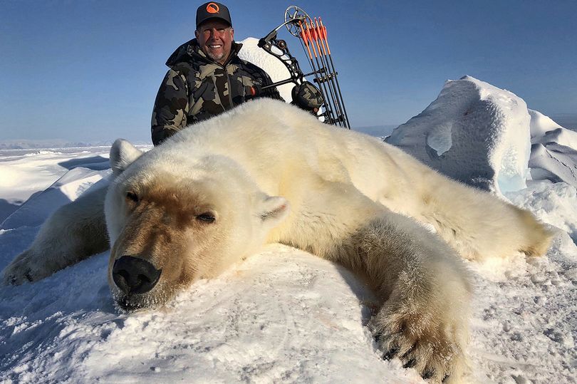 Trophy hunters polar bears