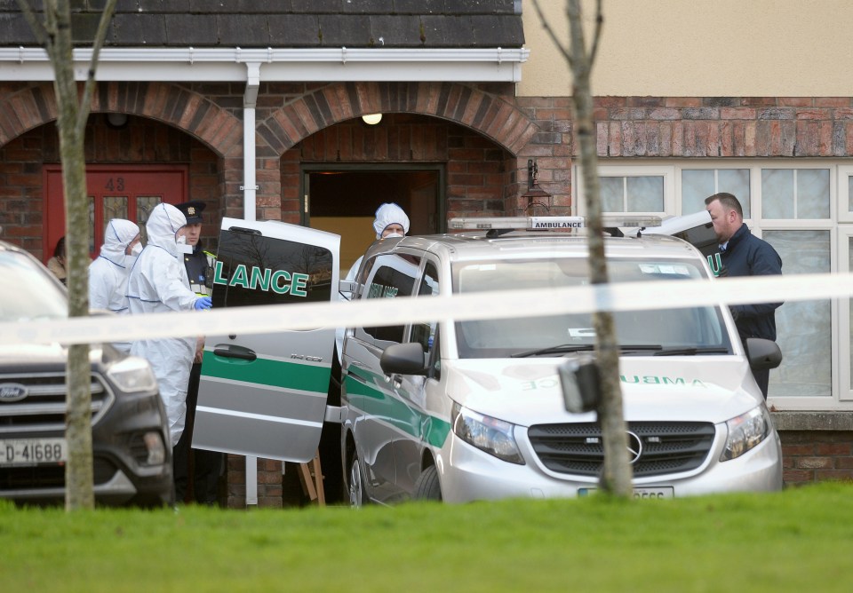 Two boys and a girl were found dead at a house in Dublin