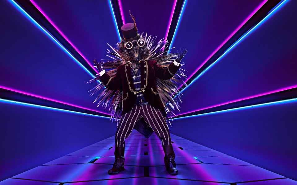  Who's behind the Hedgehog costume on The Masked Singer?