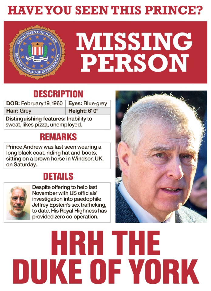  In the wake of the claims The Sun has created an 'FBI' wanted poster for Prince Andrew