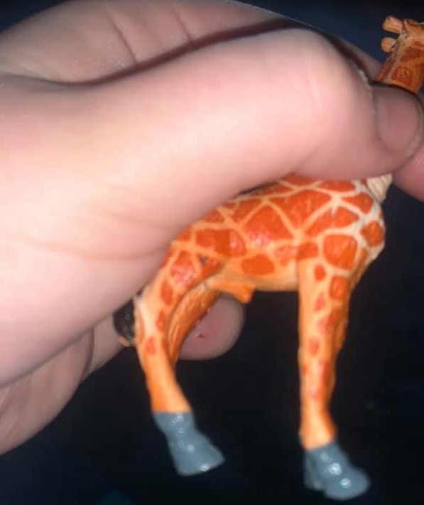 Anatomically correct giraffes, dogs and horses have been found 