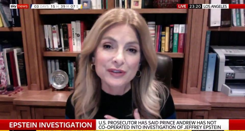  Another US lawyer Lisa Bloom told Sky News the news was devastating for Epstein's victims