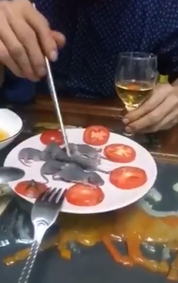 The diner picks up a live baby rat with chopsticks in the foul footage