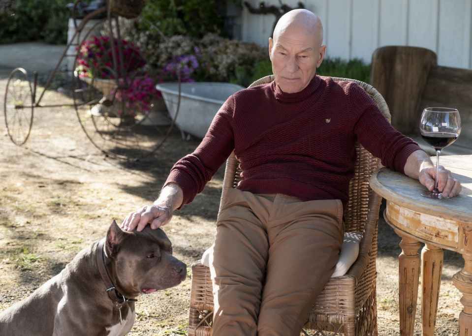  Jean-Luc Picard has retired and we now know why