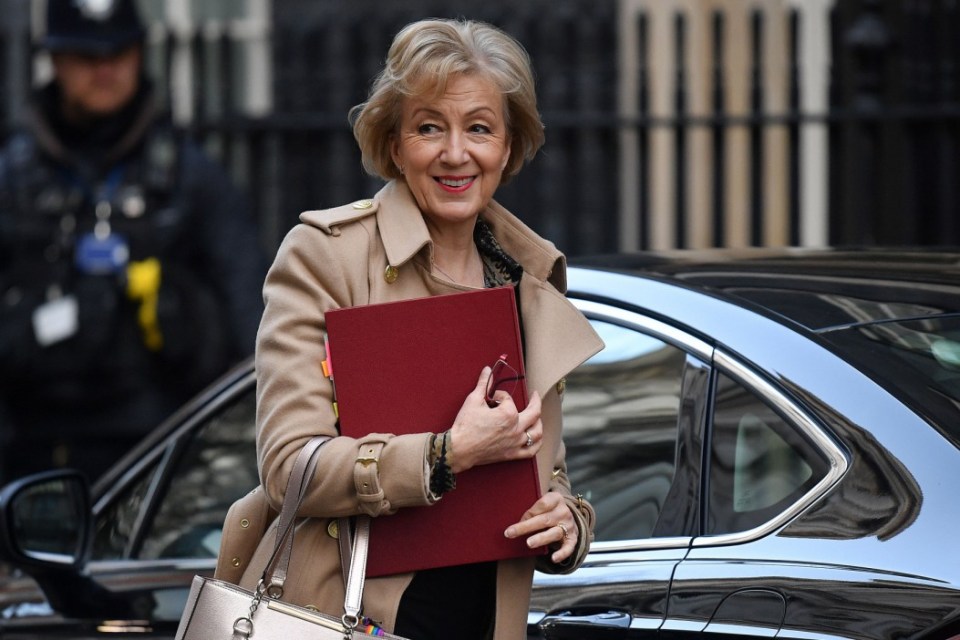  Britain's Business Secretary Andrea Leadsom has been sacked