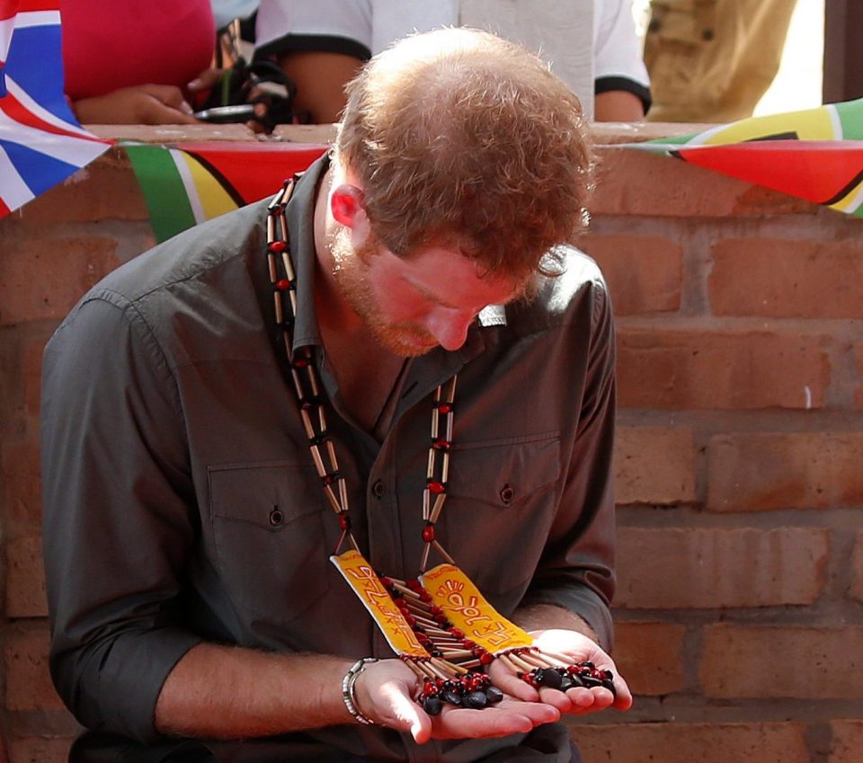  Prince Harry's hair didn't look as sparse during an official visit to Surama, Guyana in 2016