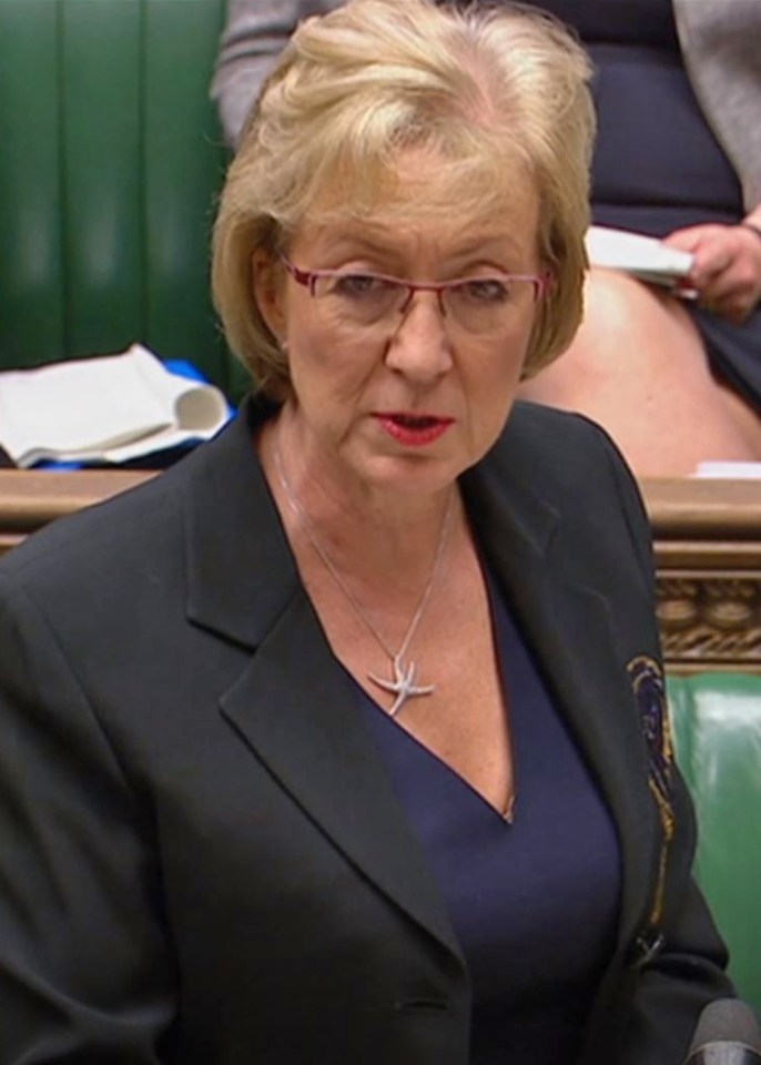  Leadsom regularly clashed with Bercow when she was Commons Leader