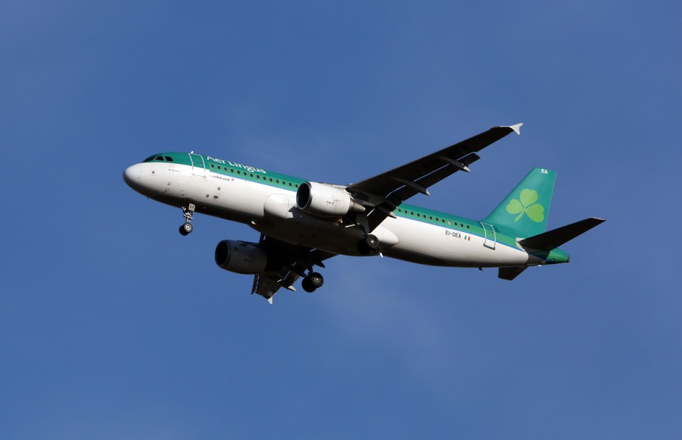  The Aer Lingus flight was unharmed