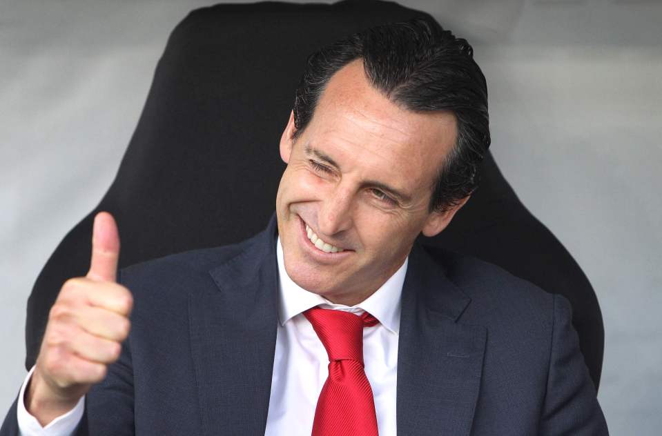  Unai Emery was axed after 18 months in charge of the Gunners