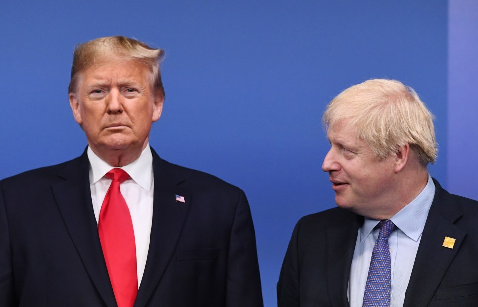  Boris Johnson has risked deepening tensions with Donald Trump by cancelling a trip to the US to see him