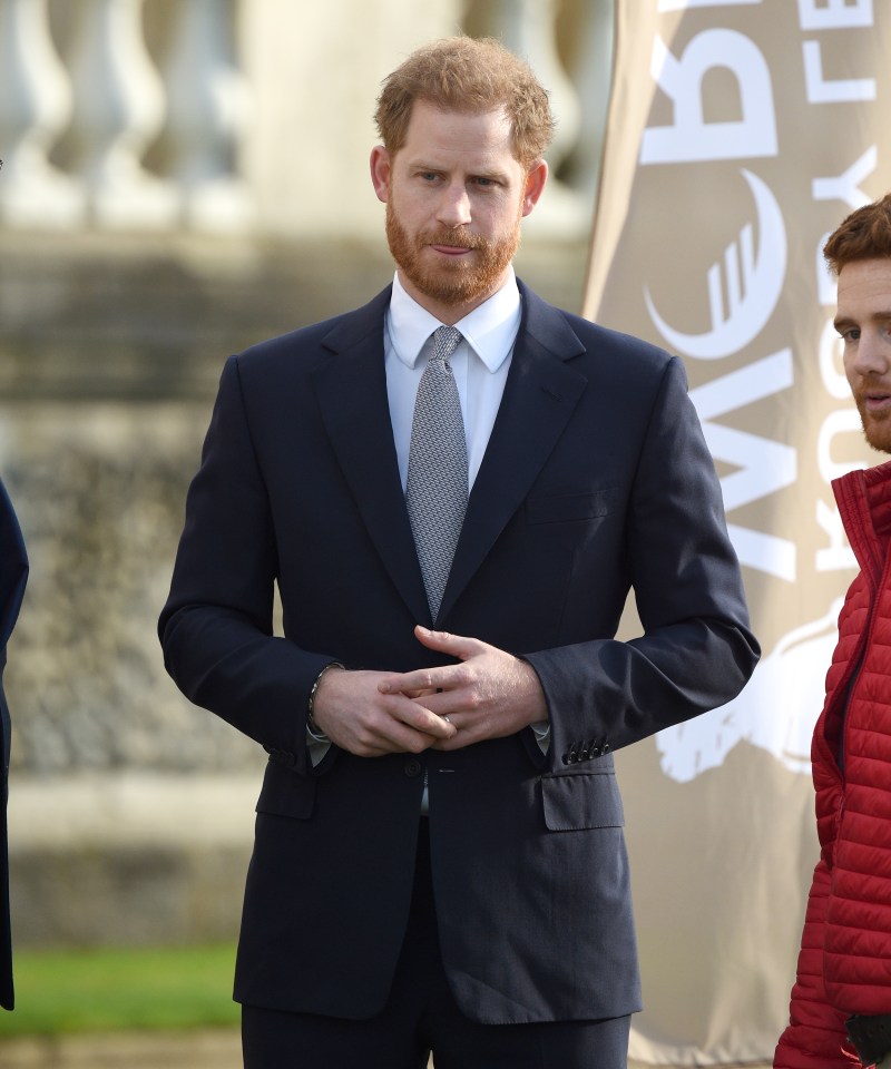  Prince Harry has given up his royal duties