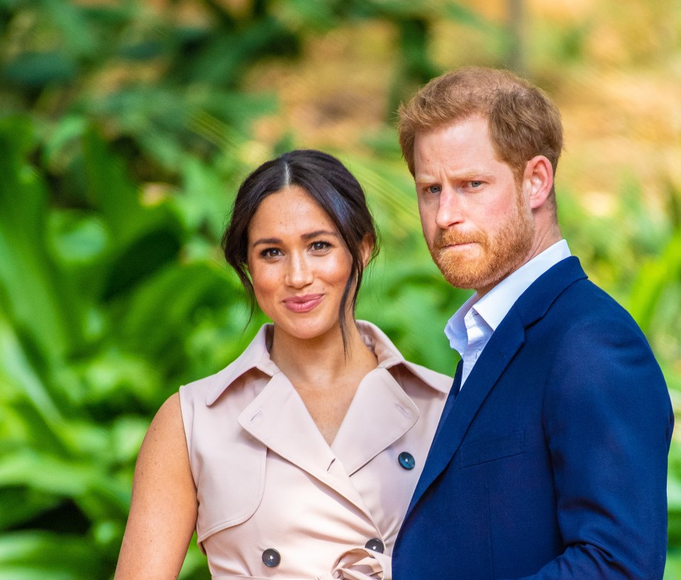  Meghan and Harry are said to be confident their projects will succeed whatever they are called