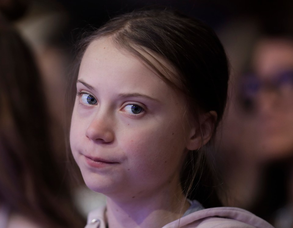  The BBC has hired teen activist Greta Thunberg for a new series on climate change