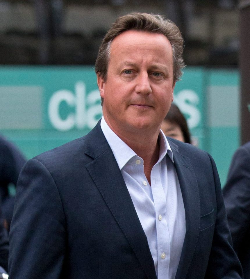  Ex-PM David Cameron's bodyguard left a loaded gun on a plane toilet