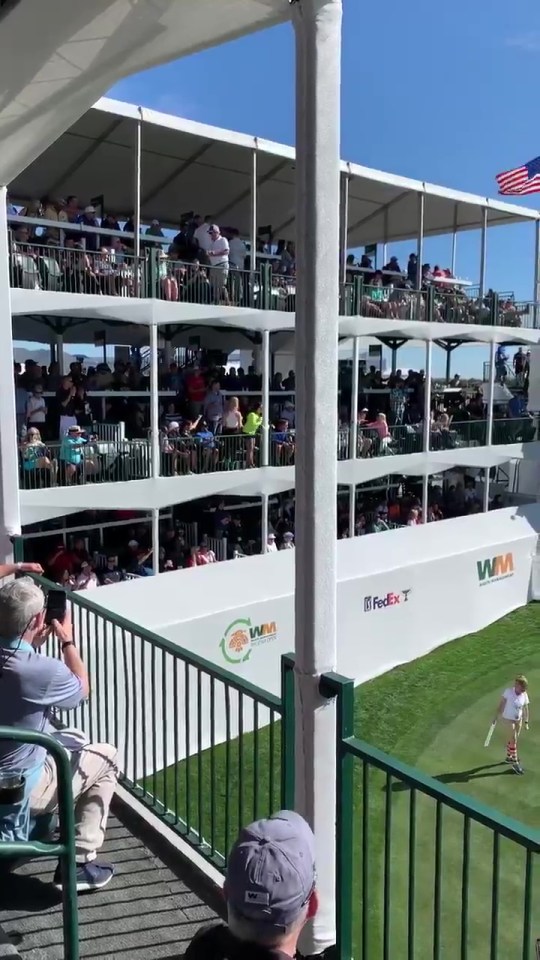  The fan, wearing bright green, was in the stands right above the green