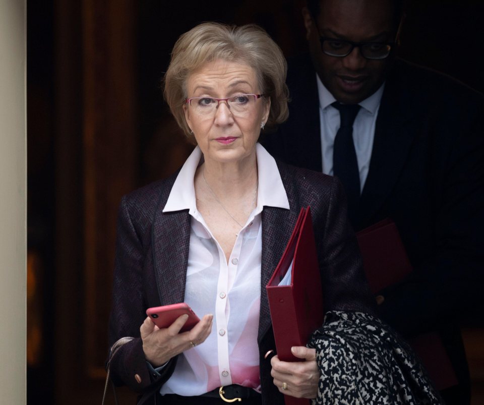  Business Secretary Andrea Leadsom is willing to testify in an investigation into allegations of bullying against ex-Commons Speaker John Bercow