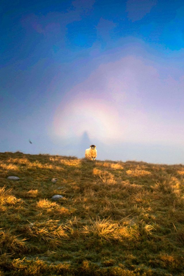  The image was taken as the photographer walked on Mam Tor hill