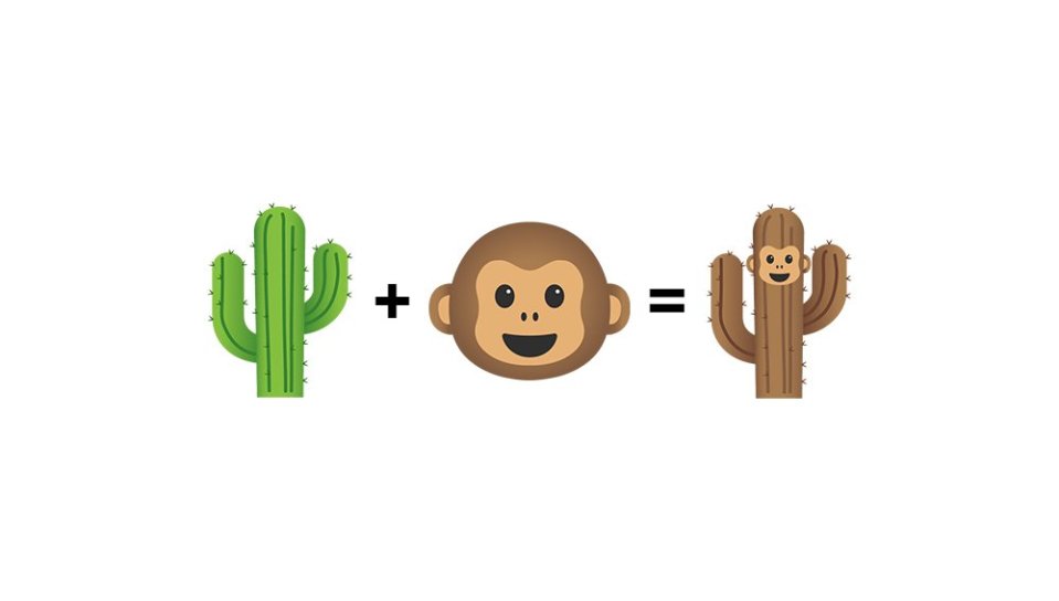  A monkey cactus is one of the more bizarre combinations