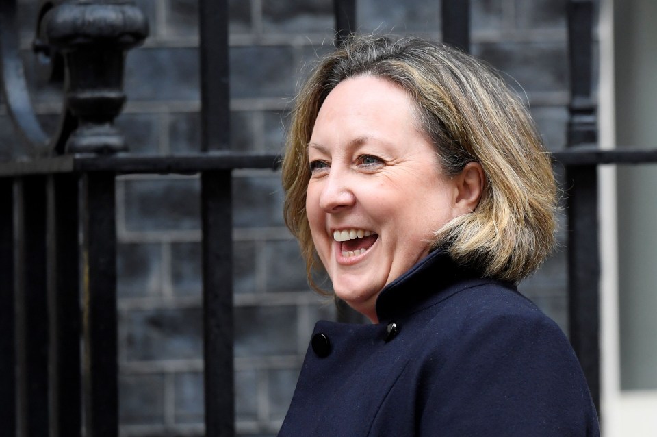 Brexiteer Anne-Marie Trevelyan was promoted to be the new International Development Sec