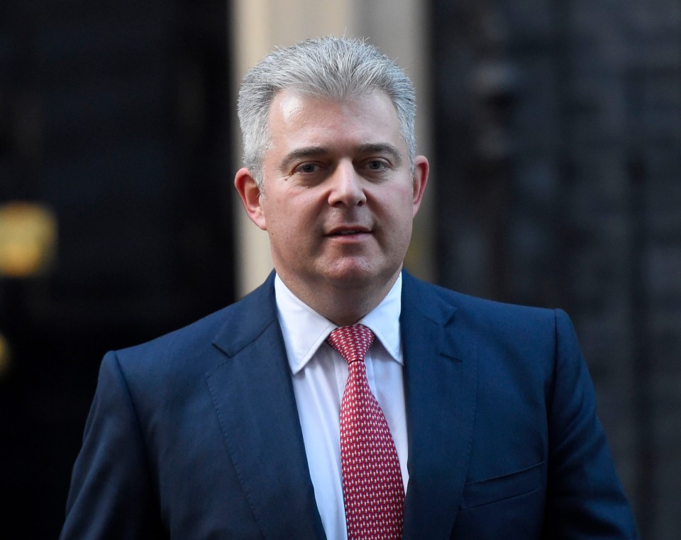 Brandon Lewis has been appointed as his successor