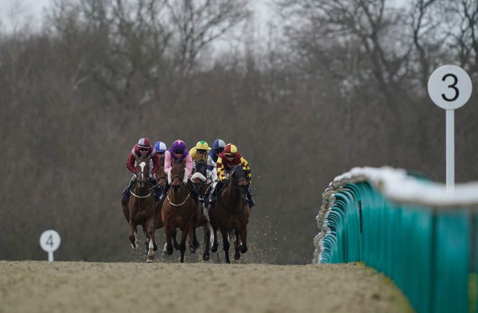 The opening race at Lingfield is 2pm on Friday