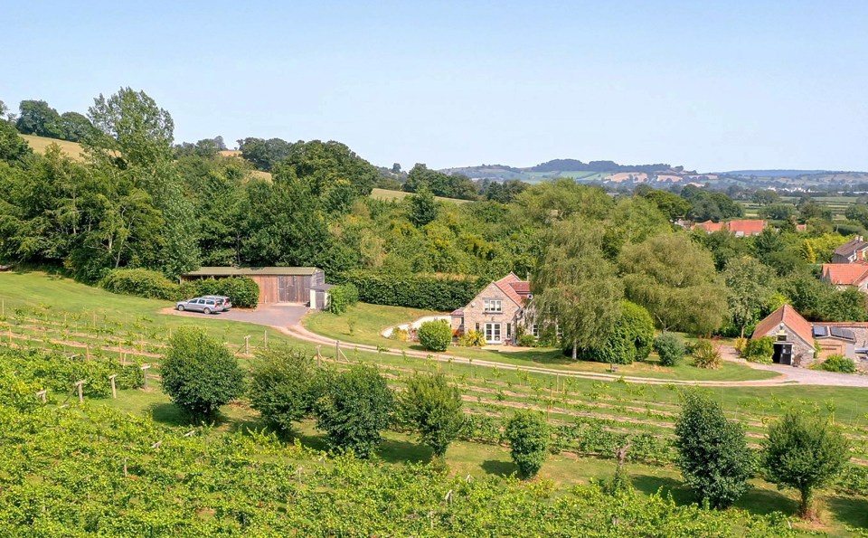 The stunning country home is up for sale for £1.25m and includes a tasting room, a shop and a wine cellar