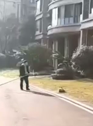 A man approaches a dog on the side of the road with a giant stick