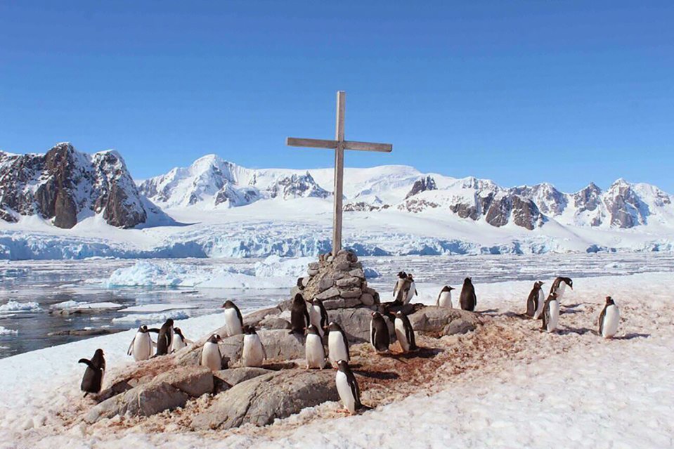  The increased temperature in Antarctica is bad for a lot of the continent's wildlife