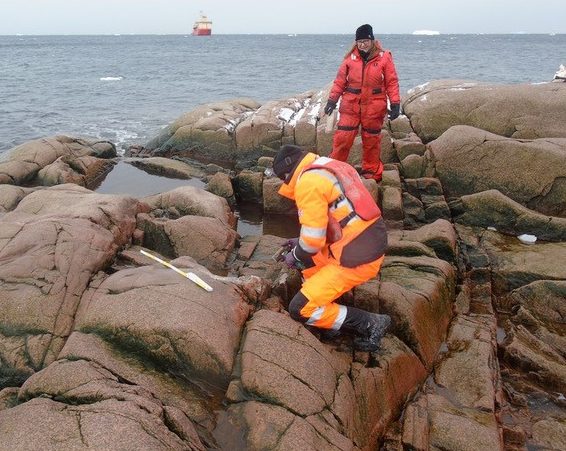  It may have emerged from the ocean due to melting ice