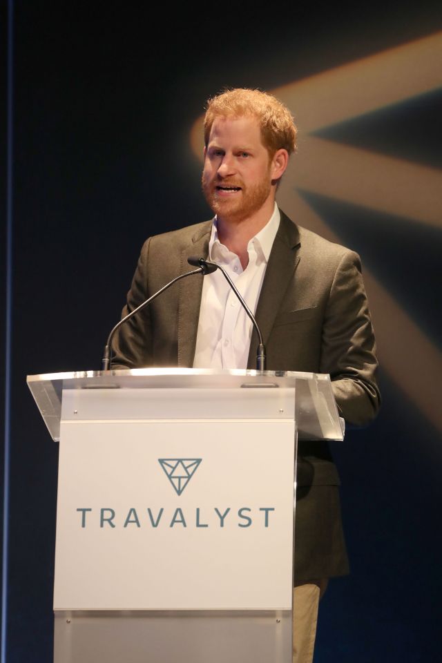  Prince Harry spoke about the importance of eco-tourism