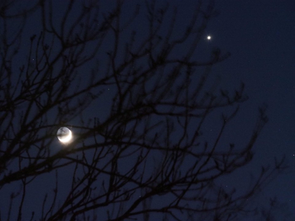  In the UK Venus will appear on the right of the Moon