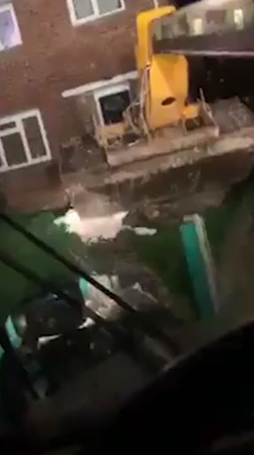  The builders filmed the moment they poured the rubbish on the lawn