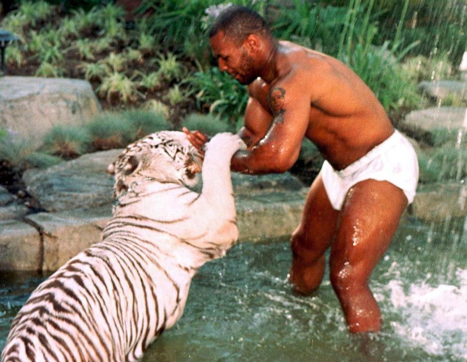 Tyson lived a lavish life and owned pet tigers