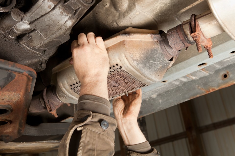 The 'cat' is vital for the car's exhaust system and should be cleaned regularly, Kayla warned