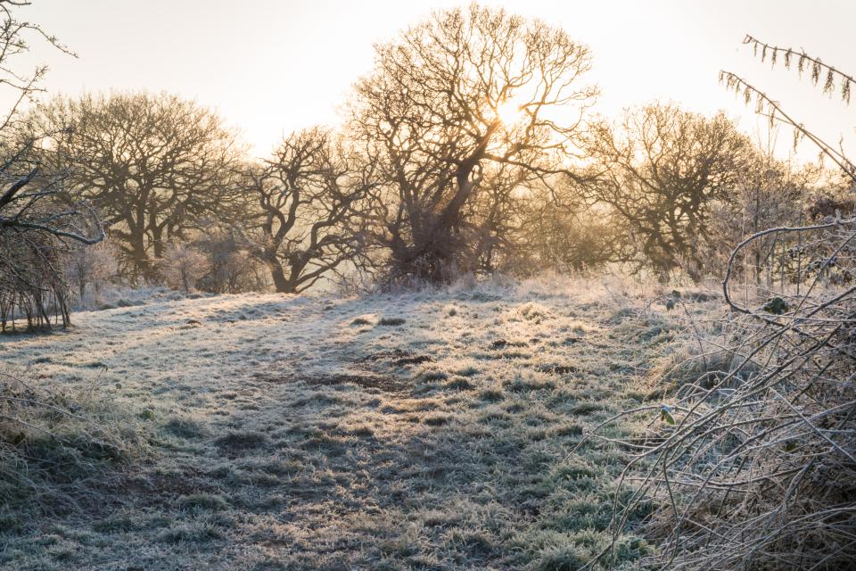  The mornings will be frosty as temperatures drop overnight