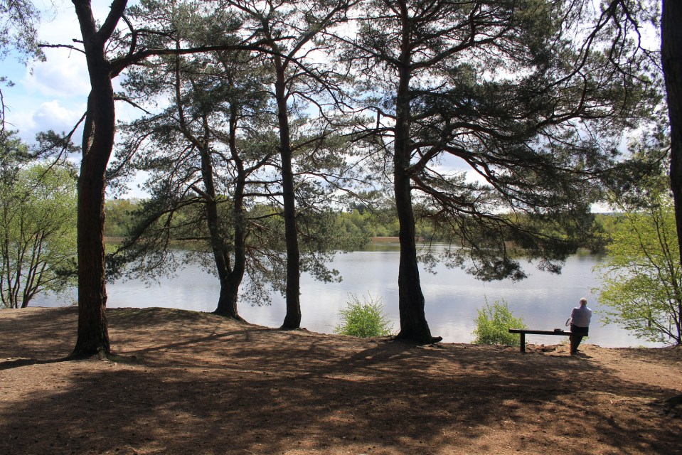  Created for the Bishop of Winchester, Frensham Little Pond is awash with rare birds and plants