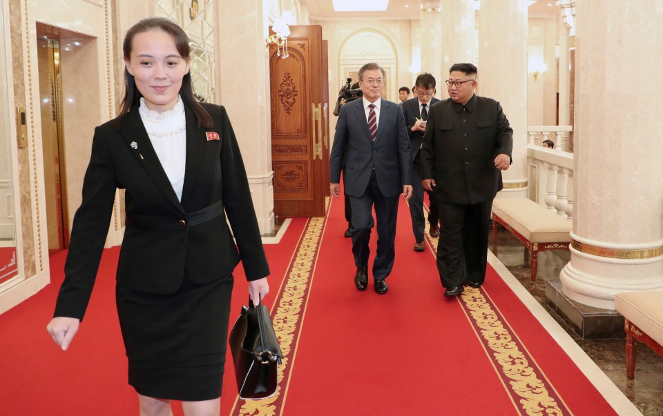  Kim Yo Jong has never before made a public statement let alone one attacking South Korea