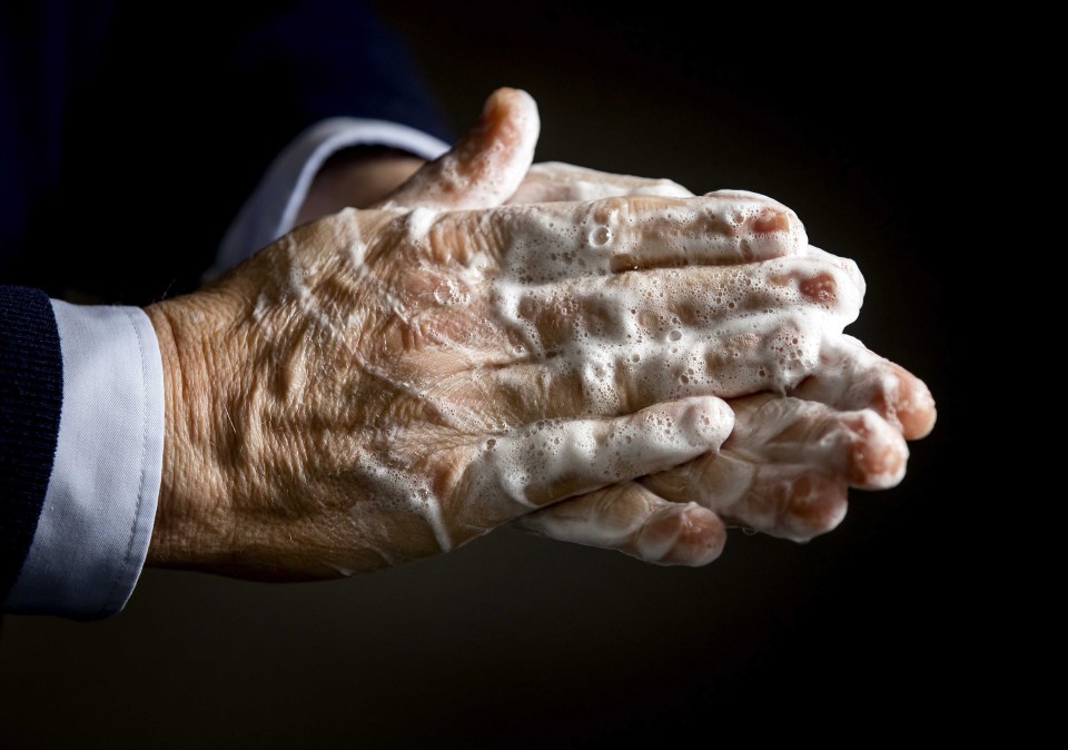  Wash your hands as soon as you get into the house with lots of soap, hot water and fresh towels