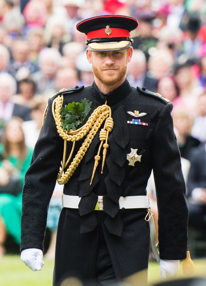  Prince Harry's final outing as Captain General of Royal Marines is on Saturday