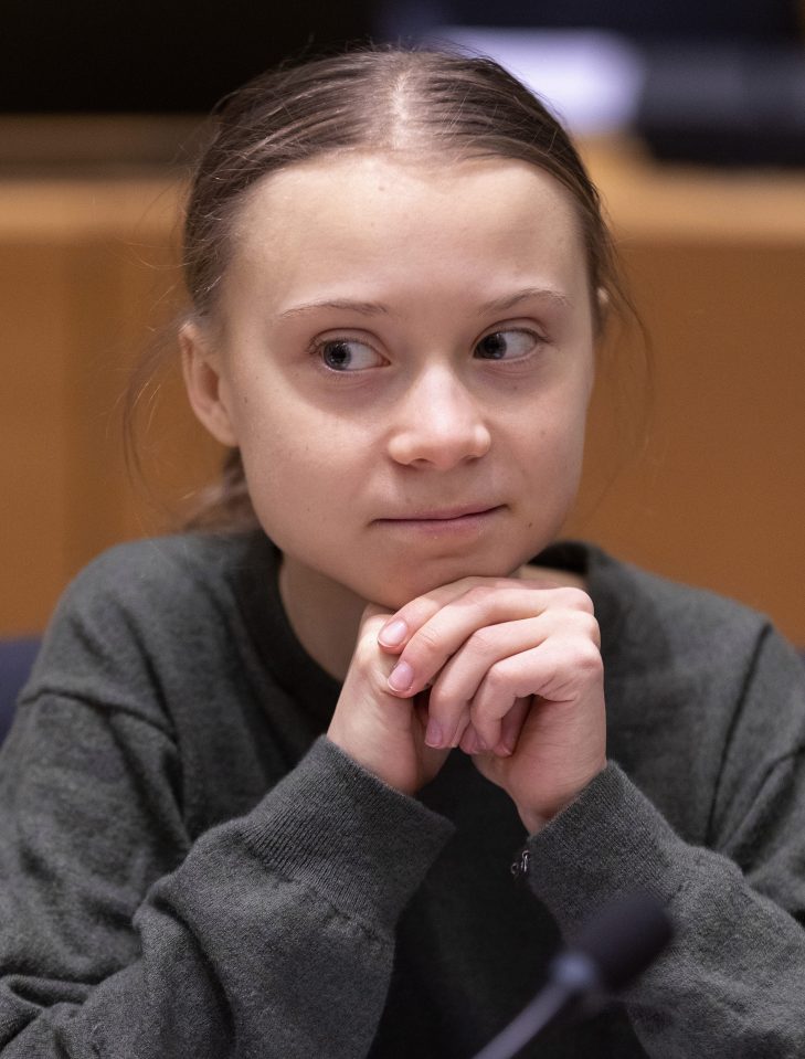 Nearly half of parents have been eco-shamed by their kids — inspired by teen climate campaigner Greta Thunberg