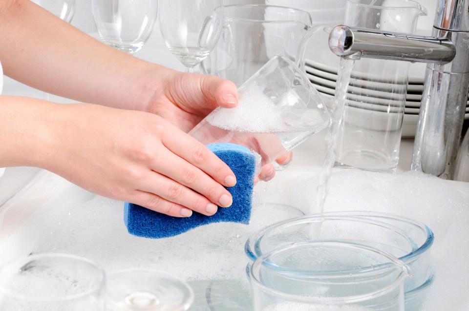  Brushes and cloths can be left for a few hours in a bowl with warm water and bleach to clean