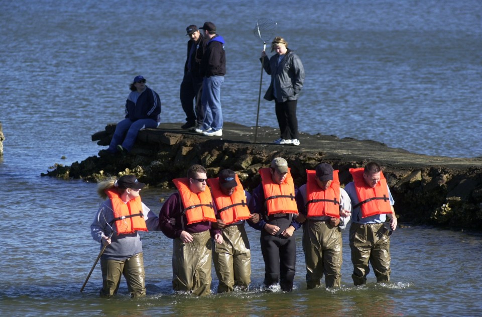  Investigators searching for a missing severed head in Galveston Bay, Texas, after body parts washed up in 2001