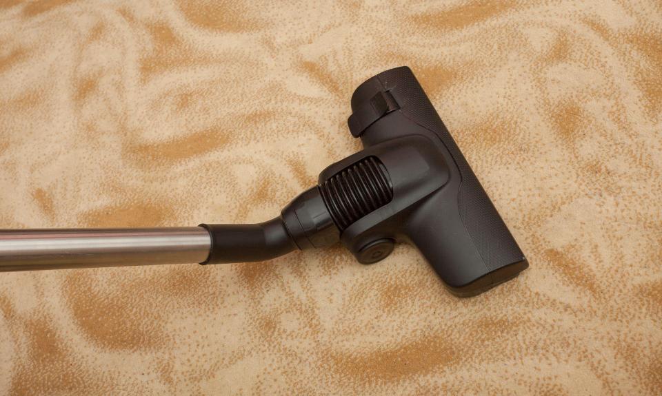  Carpets are hotbeds of bacteria, so make sure you vacuum regularly