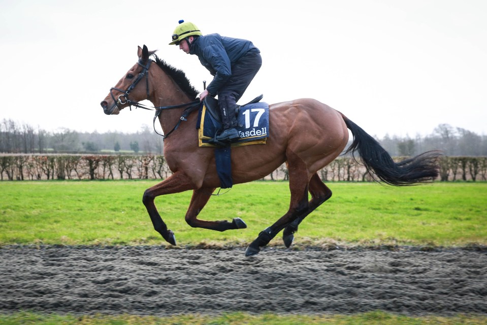  The Love Island star has a "special bond" with the horse, who runs in the Grade 1 Marsh Novices Chase